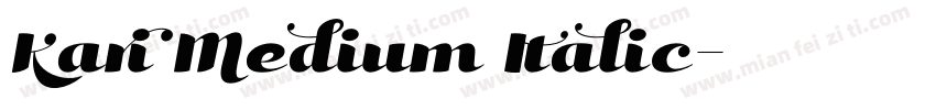 Kari Medium Italic字体转换